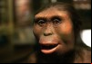 The Ape That Took Over The World