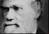 Did Darwin Kill God?