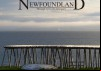 Newfoundland Through Eyes of A Foreigner
