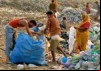 Delhi Dump