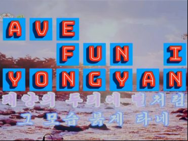 Have Fun in Pyongyang