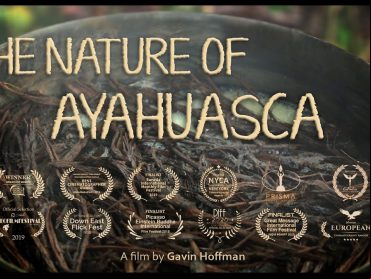 The Nature of Ayahuasca