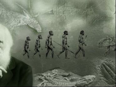 What Darwin Never Knew