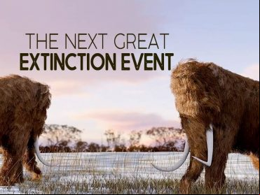 The Next Great Extinction Event