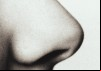 Smell & Taste: The Human Senses