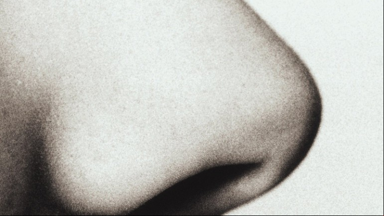 Smell & Taste: The Human Senses