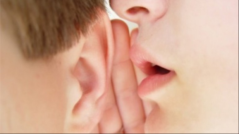 Hearing and Balance: The Human Senses