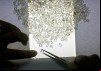 The Diamond Empire