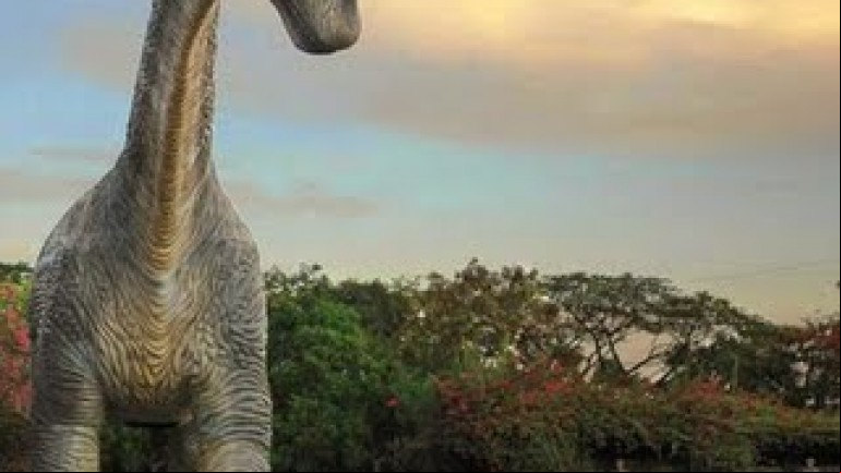 My Pet Dinosaur