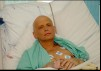 In Memoriam Alexander Litvinenko