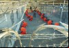 Gitmo: The New Rules of War