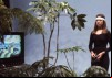 The Secret Life of Plants