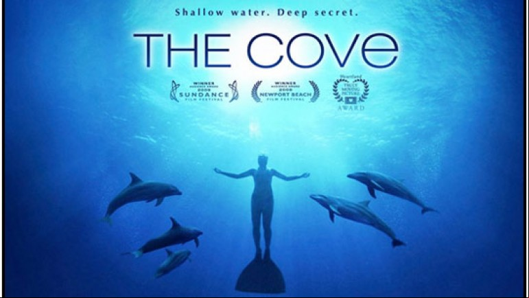 The Cove