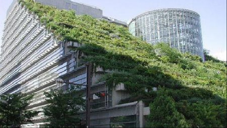 Building Green