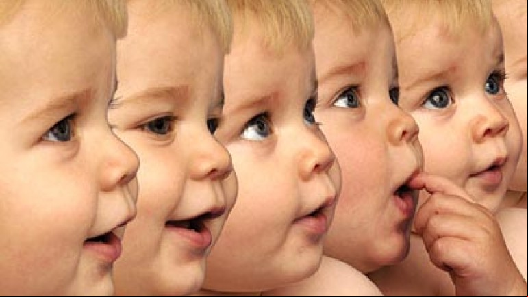 Human Cloning
