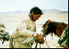 The Saltmen of Tibet