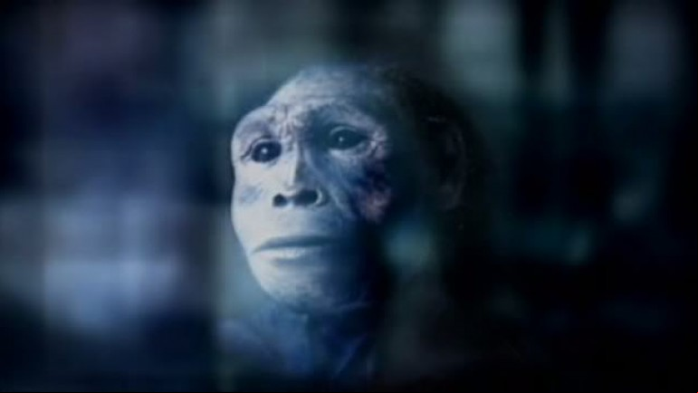The Mystery of the Human Hobbit