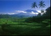 The Miracle of Bali – The Midday Sun