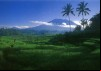 The Miracle of Bali: Recital Of Music