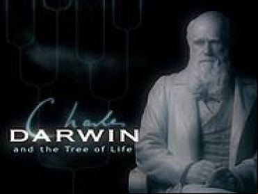 Charles Darwin and the Tree of Life
