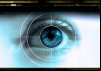 Big Brother, Big Business