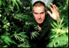 Cannabis: The Evil Weed