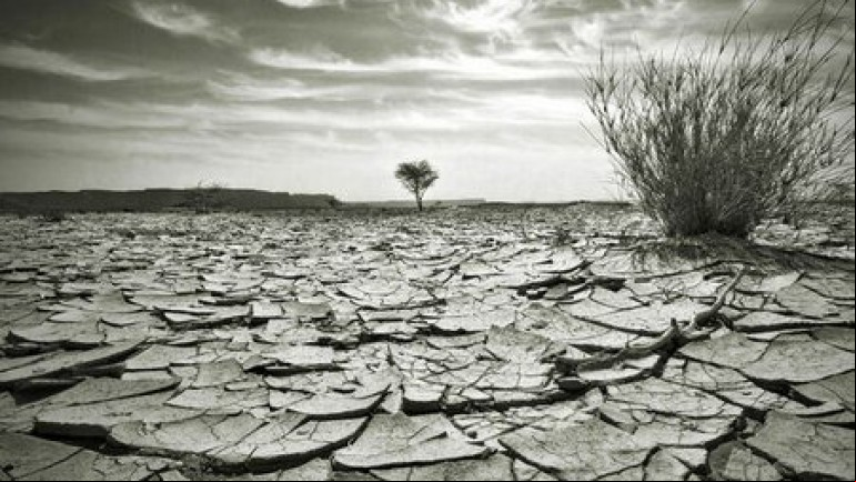 Meet The Climate Sceptics