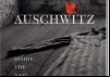 Auschwitz: Inside The Nazi State