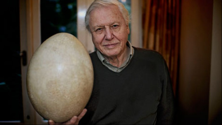 David Attenborough’s Madagascar