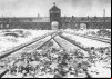 The Auschwitz Albums