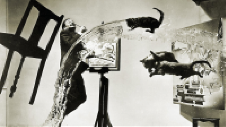 Crime Inc: Hallucinogens