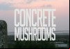 Mushrooms of Concrete