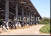 Milking It