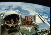 Moon For Sale