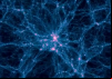 Evolution: The Minds Big Bang