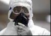 Ebola: The Search for a Cure
