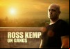 Ross Kemp on Gangs: Los Angeles